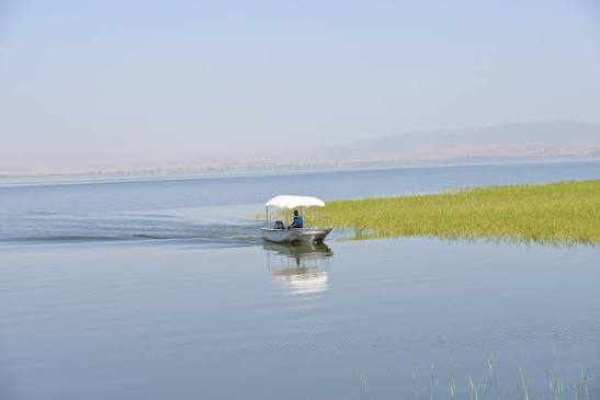 Hawassa